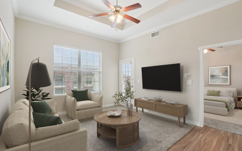 a living room with a tv and couches